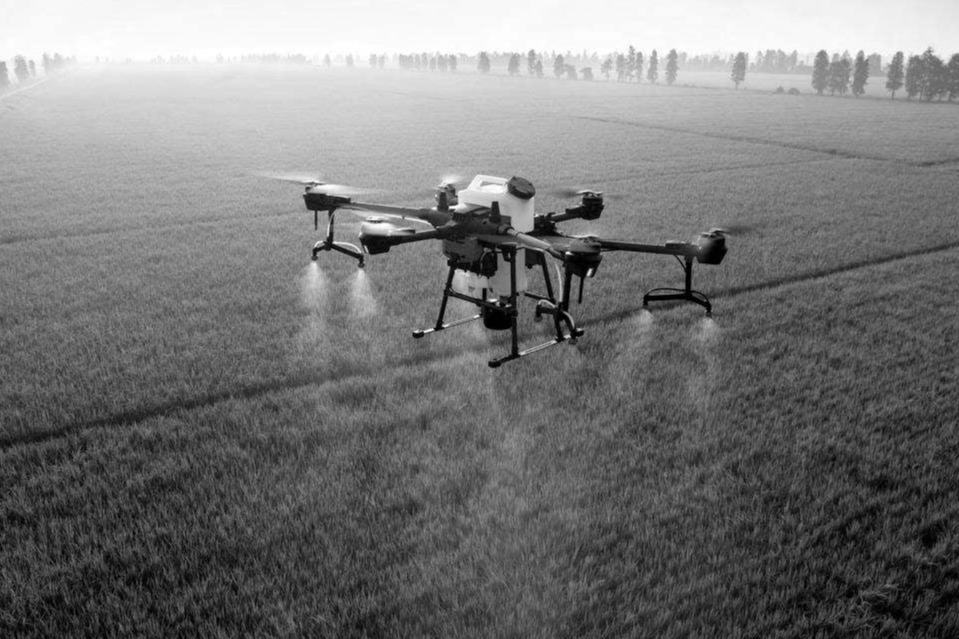 SMART Agriculture picture